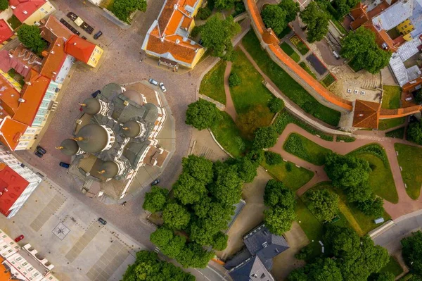 Luftaufnahme Der Von Bäumen Umgebenen Gebäude Tallinn Estland — Stockfoto