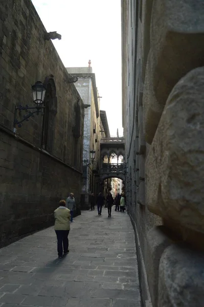 Uma Foto Vertical Carrer Del Bisbe Barcelona Espanha — Fotografia de Stock