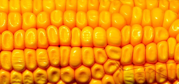 Zbliżenie Ujęcie Żółtej Kukurydzy — Zdjęcie stockowe
