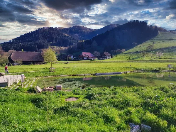 Natur Schwarzwald Deutschland Frankreich Grenze Europa — Stockfoto