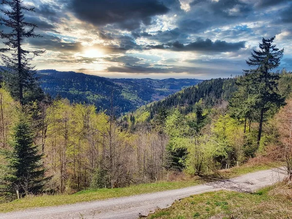 Natur Schwarzwald Deutschland Frankreich Grenze Europa — Stockfoto