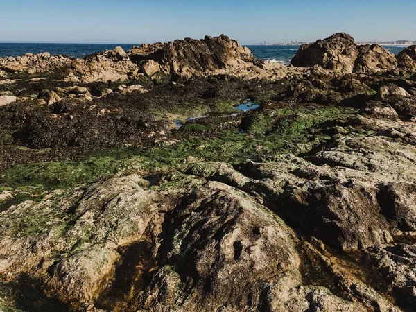 Een Prachtig Shot Van Een Kustklif Met Zee Achtergrond — Stockfoto