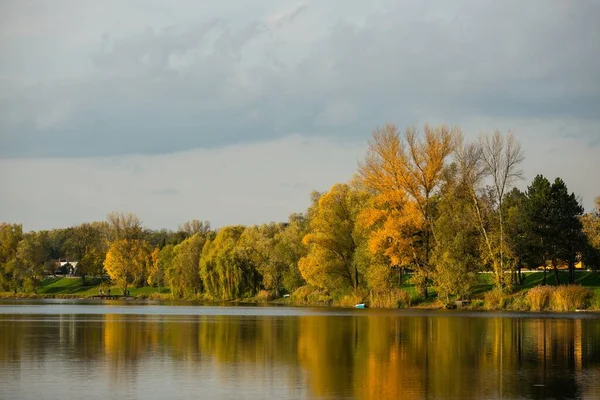 Piękny Widok Jezioro Pełne Drzew Odbijających Się Wodzie — Zdjęcie stockowe