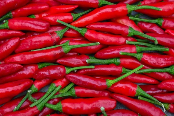 Close Chilies Vermelhos Bando — Fotografia de Stock