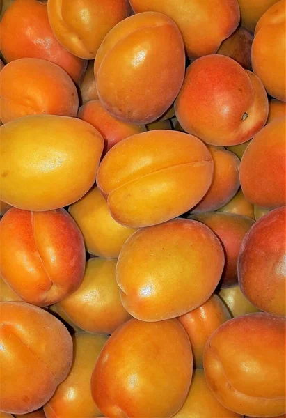 Tiro Close Vertical Muitas Frutas Damasco — Fotografia de Stock