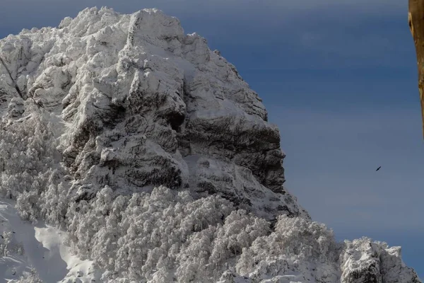 Veduta Angolo Basso Rocce Ricoperte Neve Alberi Sotto Cielo Blu — Foto Stock