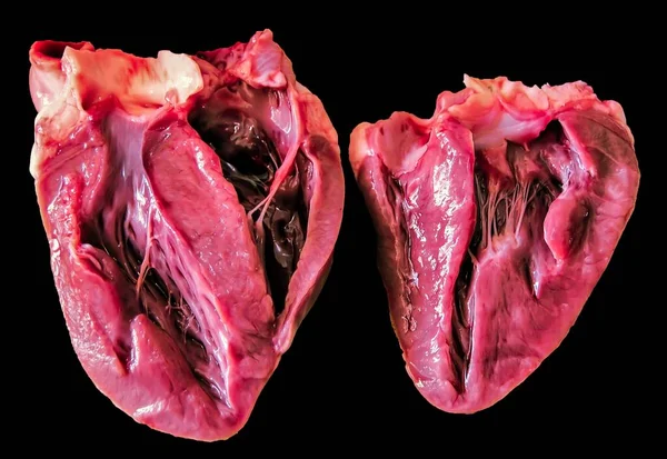Siyah Arka Planda Iki Parçaya Ayrılmış Gerçek Bir Kalbin Yakın — Stok fotoğraf