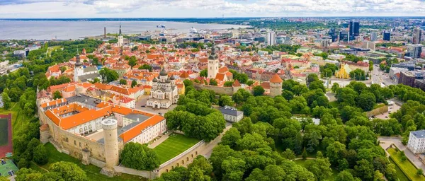 Colpo Panoramico Tallinn Circondato Dal Mare Alberi Sotto Cielo Nuvoloso — Foto Stock