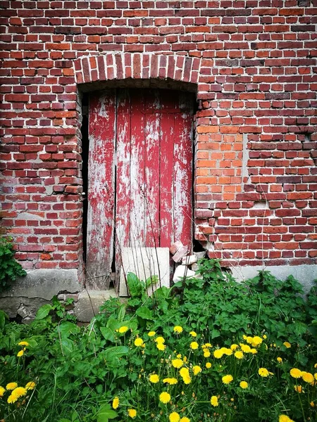 Двері Будівлі Цегли Перед Зеленими Рослинами — стокове фото