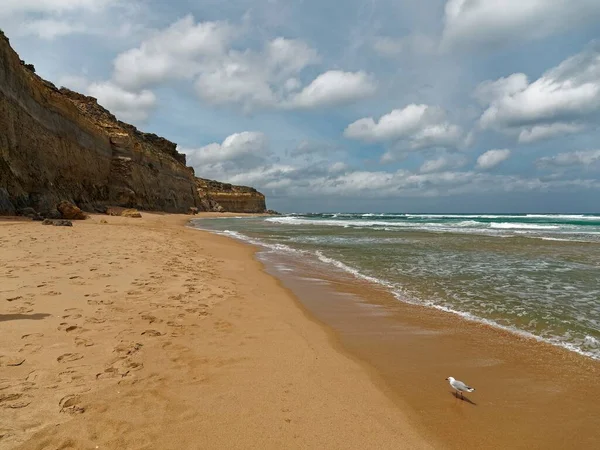 Gibsons Steeps Beach Erstaunliche Klippen Meer Mit Goldenem Sand Entlang — Stockfoto