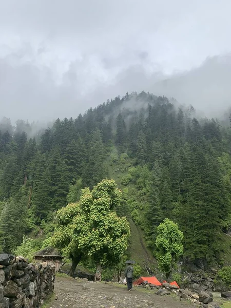Вертикальный Снимок Покрытых Деревьями Холмов Сделанный Туманный День — стоковое фото