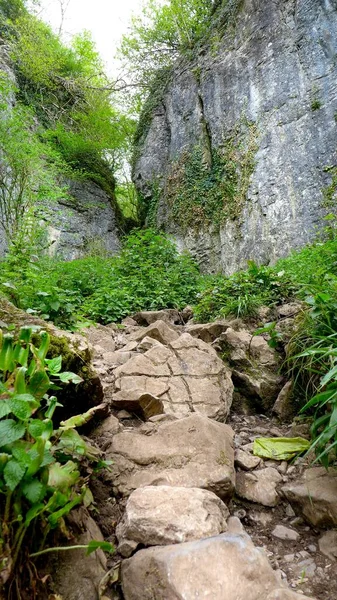 Вертикальный Снимок Природного Пейзажа Скалами Растениями Захваченными Уэльсе — стоковое фото