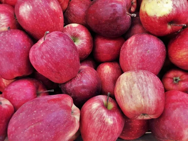 赤いリンゴのクローズアップショット — ストック写真