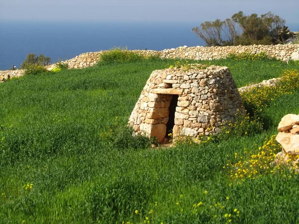 Siggiewi Malta März 2014 Eine Maltesische Girna Eine Traditionelle Hütte — Stockfoto