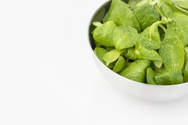 Una Toma Ángulo Alto Las Hojas Húmedas Frescas Menta Tazón — Foto de Stock