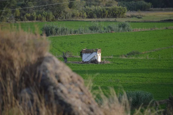 Vasto Campo Verde Con Piccolo Edificio Bianco — Foto Stock