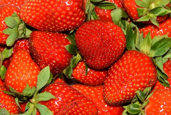 Primer Plano Fresas Rojas Mezcladas Entre — Foto de Stock