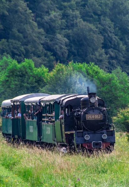 索瓦塔 罗马尼亚 2020年7月17日 来自罗马尼亚索瓦塔度假胜地的游客乘坐的狭窄轨距列车 — 图库照片