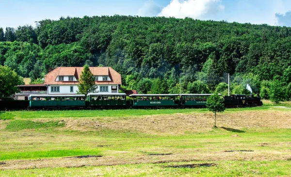 Sovata Románia Július 2020 Keskeny Nyomtávú Vonat Turistákkal Szováta Üdülőhely — Stock Fotó