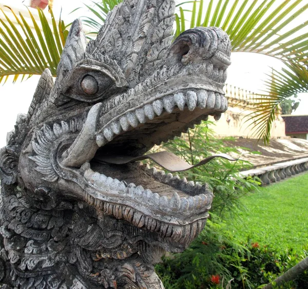 龍のような怪物の彫刻の石のショットの浅いフォーカスのクローズアップ — ストック写真