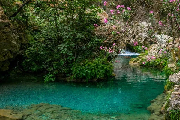 Akchour Chefchaouen Morokko 2018 Süßwasserquelle Die Durch Ein Tal Oder — Stockfoto