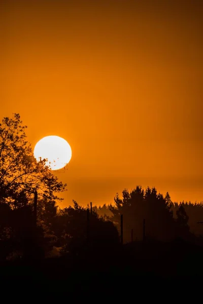 Tiro Vertical Sol Poente Céu Dourado Atrás Das Silhuetas Das — Fotografia de Stock