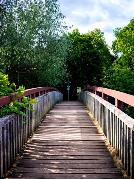 Plano Vertical Puente Madera Rodeado Árboles Parque — Foto de Stock