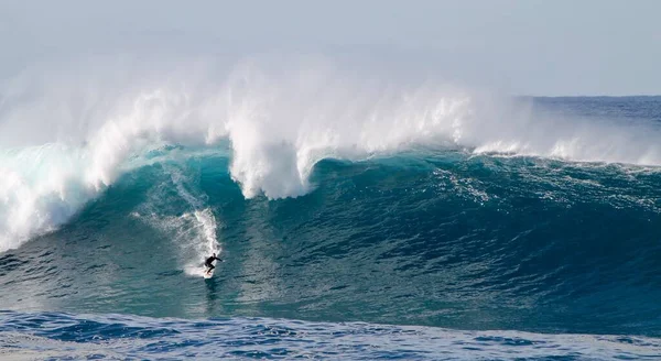 Sydney Austrália Maio 2016 Surfista Uma Enorme Onda Australiana Isto — Fotografia de Stock