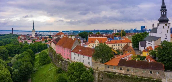 Paesaggio Urbano Tallinn Circondato Dal Mare Dal Verde Sotto Cielo — Foto Stock