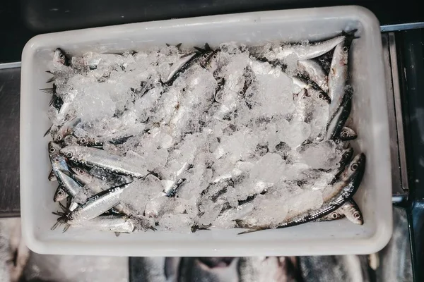 Bovenaanzicht Van Een Plastic Container Met Vis Ijs — Stockfoto