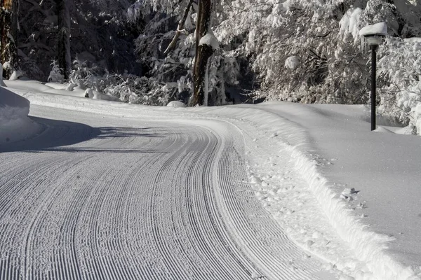 Uma Estrada Uma Floresta Coberta Árvores Neve Sob Luz Sol — Fotografia de Stock