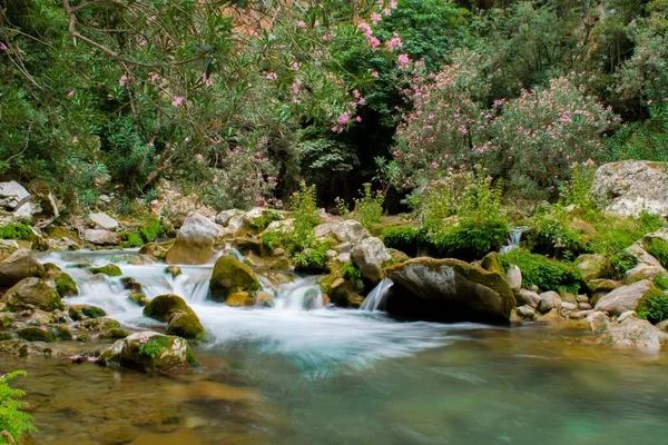 Akchour Chefchaouen Morocco Sep 2018 Spring Fresh Water Passing Valley — 图库照片