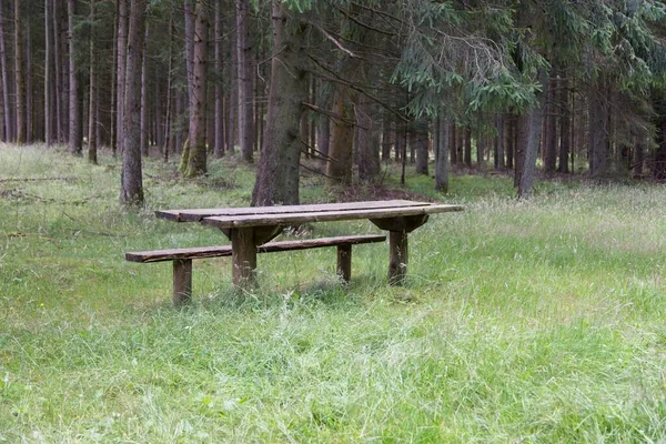 Banco Madeira Uma Mesa Parque Com Muitas Árvores Altas Durante — Fotografia de Stock