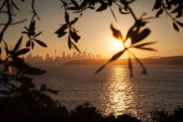 Auringonlasku Watsonien Lahden Yllä Sydneyn Horisontissa — kuvapankkivalokuva