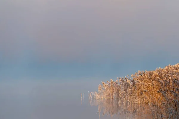 Une Belle Matinée Lever Soleil Aube Brouillard Tourbillonne Autour Paysage — Photo