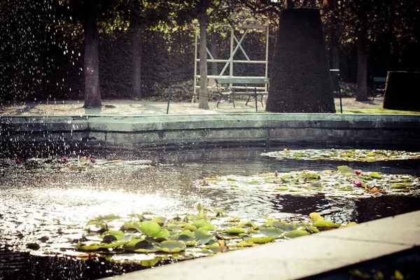 Une Belle Vue Sur Jardin Botanique Vienne Autriche — Photo