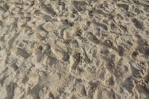 Una Vista Sabbia Sulla Spiaggia — Foto Stock