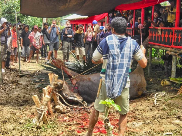 Sulawesi Indonesia Lug 2019 Sulawesi Persone Nell Area Tribale Sulawesi — Foto Stock