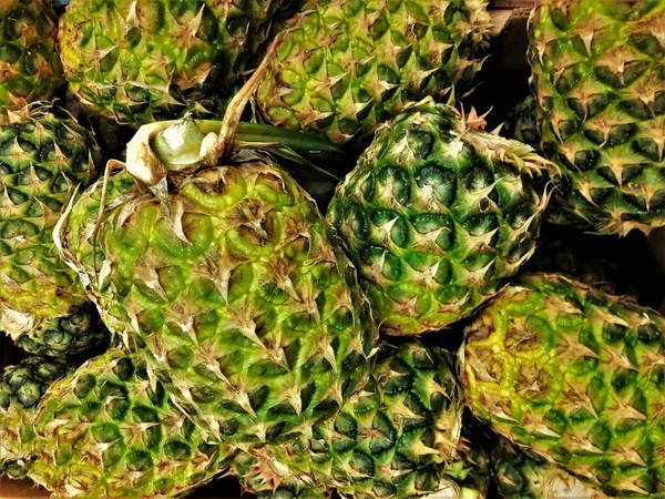 Eine Nahaufnahme Von Vielen Ananasfrüchten — Stockfoto