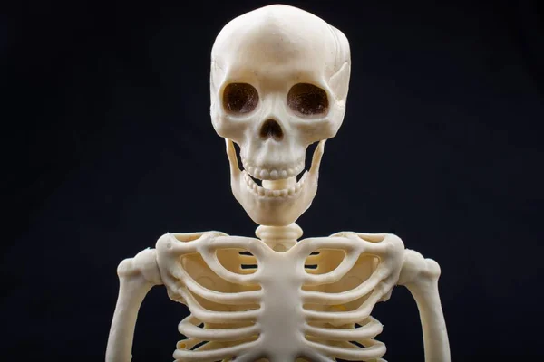 Das Weiße Menschliche Skelett Auf Schwarzem Hintergrund — Stockfoto