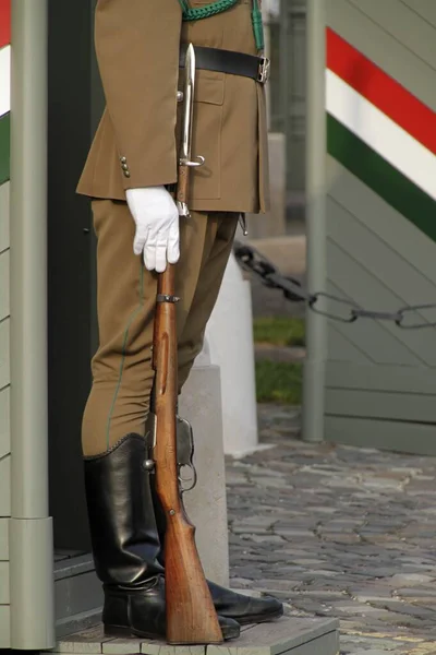 ハンガリー ブダペストの宮殿で警備員 — ストック写真