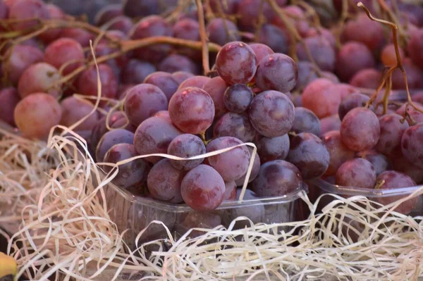 Eine Nahaufnahme Von Trauben Tassen Auf Dem Markt — Stockfoto