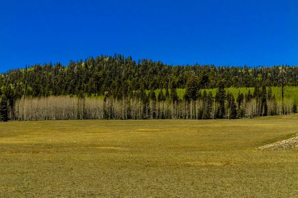 Uma Paisagem Campo Concentração Gross Rosen Rogoznica Polônia — Fotografia de Stock