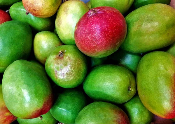 Many green and red mangoes mixed with each other