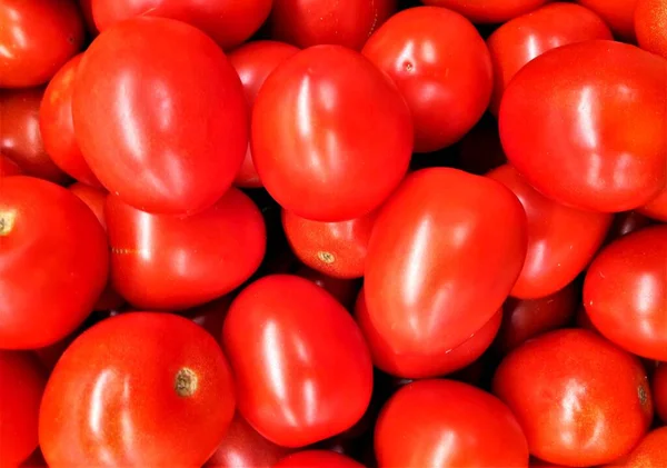 Primer Plano Tomates Maduros —  Fotos de Stock