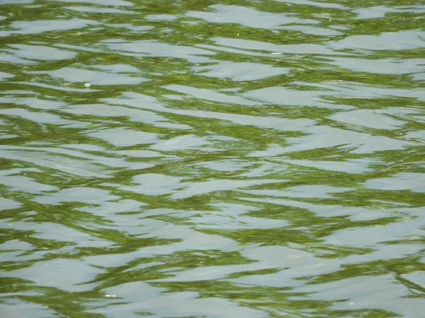 Primer Plano Agua Verde Calma Lago Perfecto Para Fondo —  Fotos de Stock