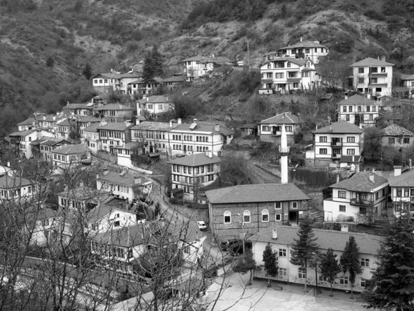 丘の上の小さな村の高角度のグレースケールショット — ストック写真