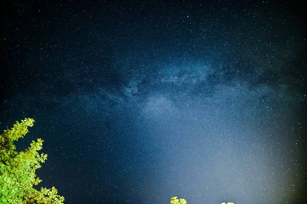 Zelené Stromy Hvězdná Obloha Nad Noci — Stock fotografie