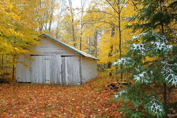 Een Prachtig Shot Van Een Houten Huis Omringd Door Herfstbomen — Stockfoto