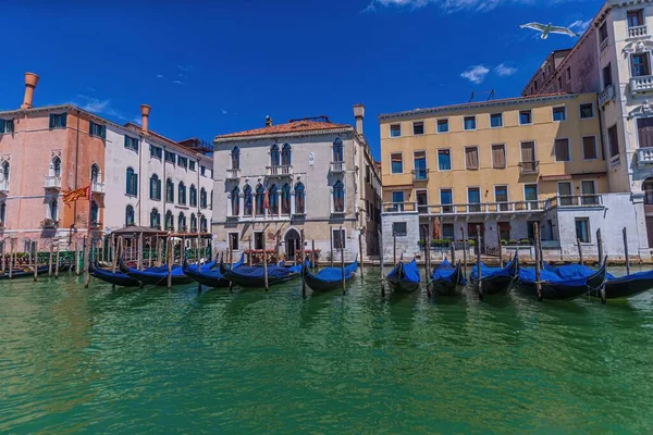 Uitzicht Prachtige Architectuur Van Venetië Italië Bij Daglicht — Stockfoto